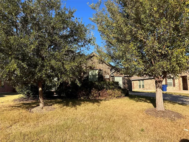 a view of road and trees