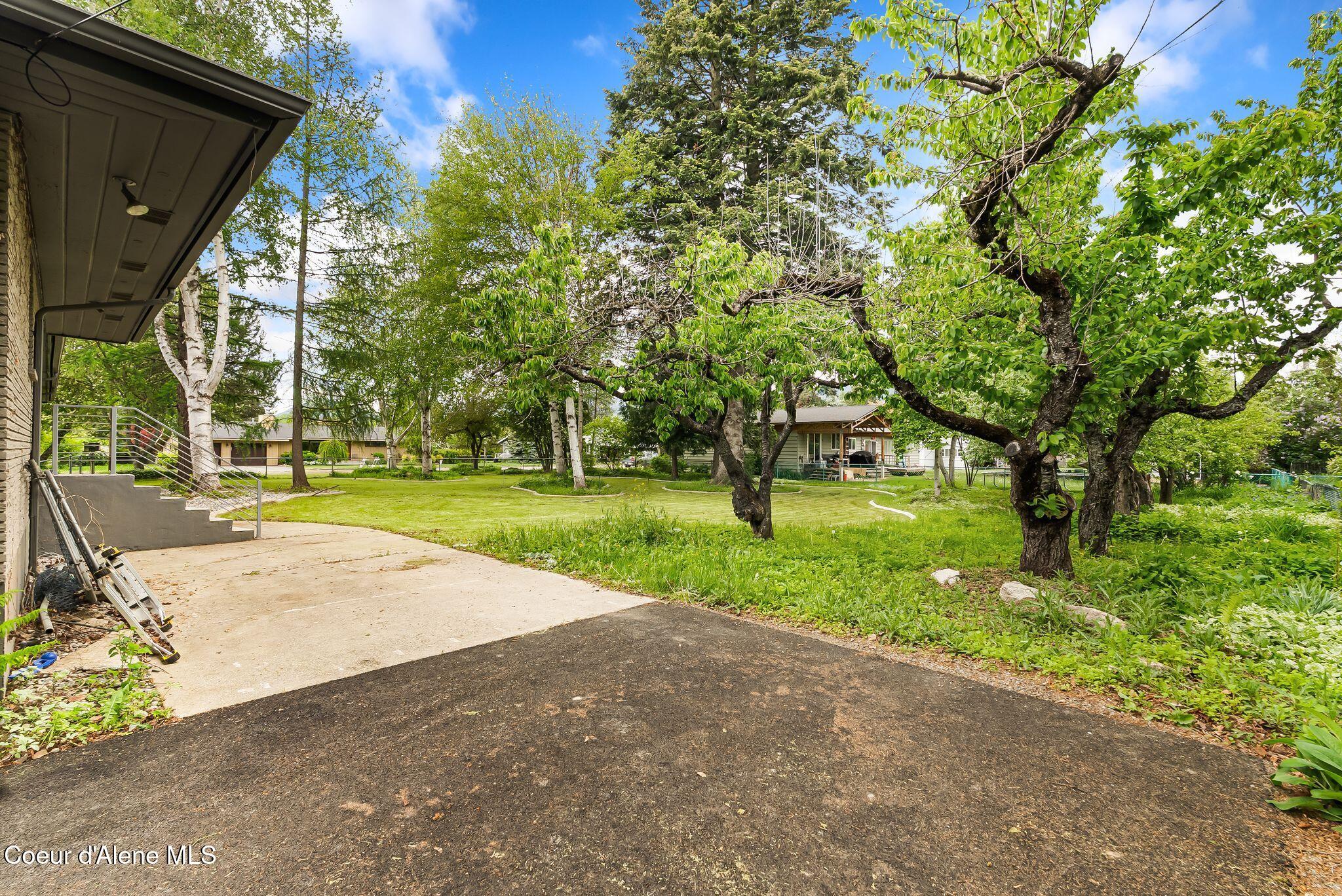 1104 Birch Street Sandpoint, ID 83864 - Photo 64 of 87 Backyard
