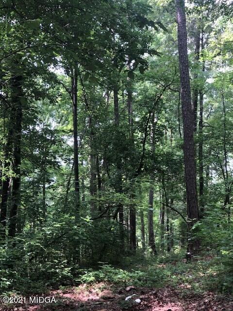 294 Ham Road Jackson, GA 30233 - Photo 19 of 25 IMG_2704