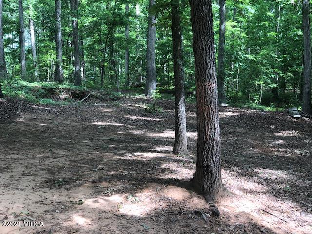 294 Ham Road Jackson, GA 30233 - Photo 20 of 25 IMG_2705