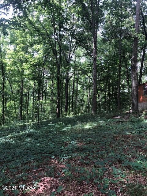 294 Ham Road Jackson, GA 30233 - Photo 21 of 25 IMG_2707