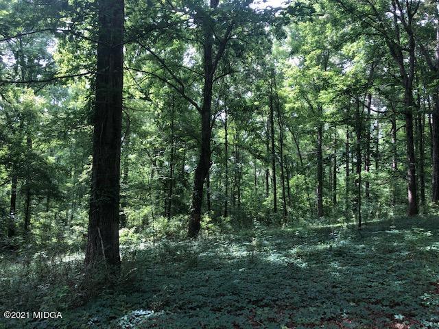 294 Ham Road Jackson, GA 30233 - Photo 22 of 25 IMG_2708