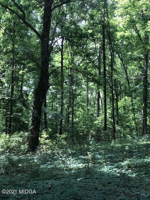 294 Ham Road Jackson, GA 30233 - Photo 23 of 25 IMG_2709