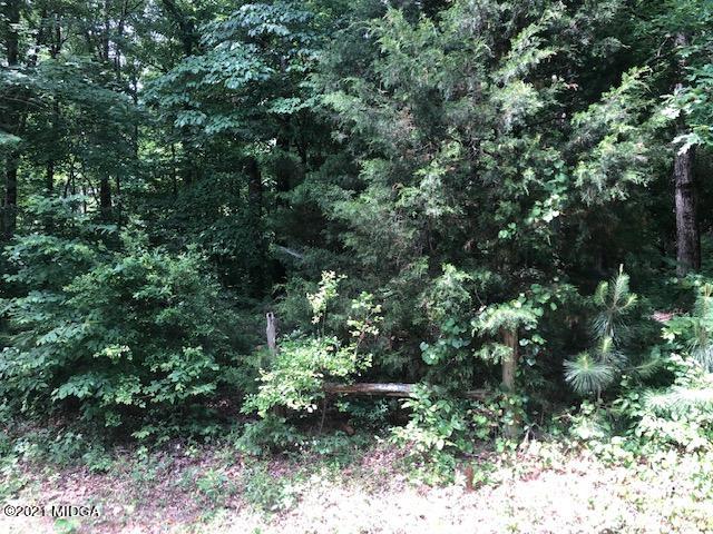 294 Ham Road Jackson, GA 30233 - Photo 24 of 25 IMG_2713