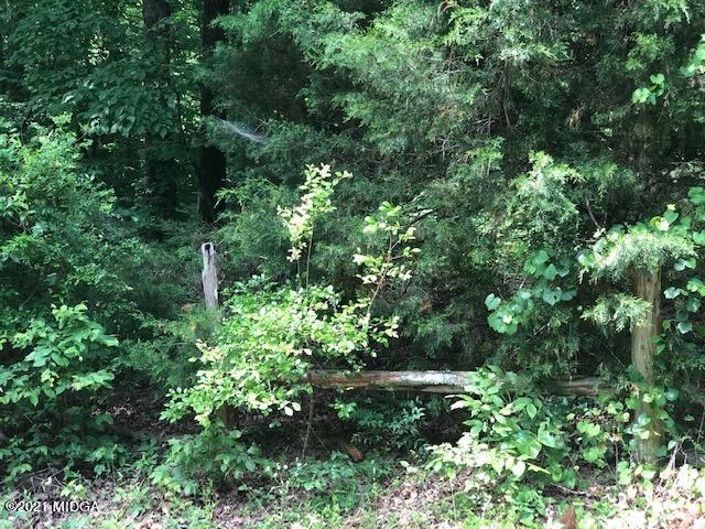 294 Ham Road Jackson, GA 30233 - Photo 25 of 25 IMG_2714