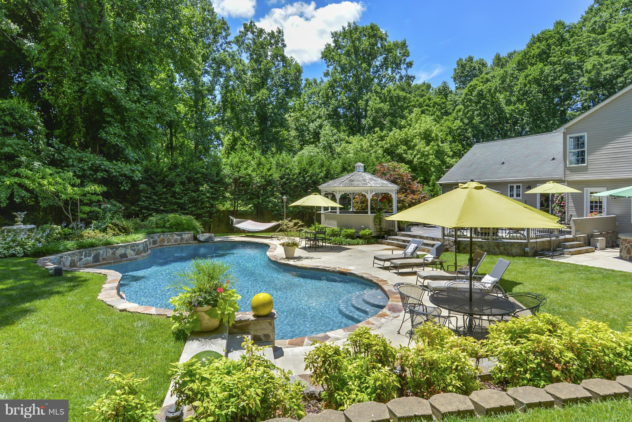 14631 Good Hope Road Silver Spring, MD 20905 - Photo 2 of 28 Spectacular Salt Water Pool
