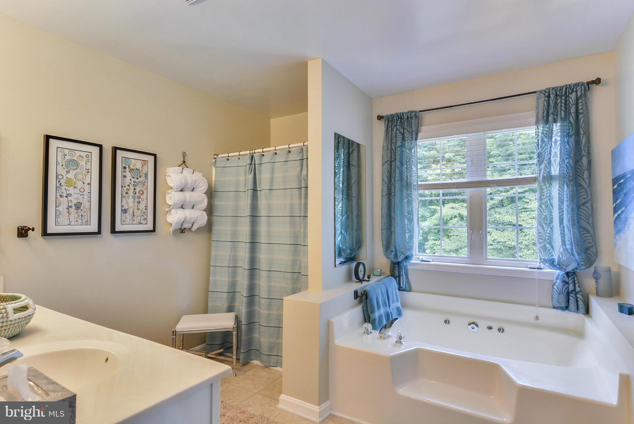 14631 Good Hope Road Silver Spring, MD 20905 - Photo 16 of 28 Master Bath w/Separate Shower & Tub