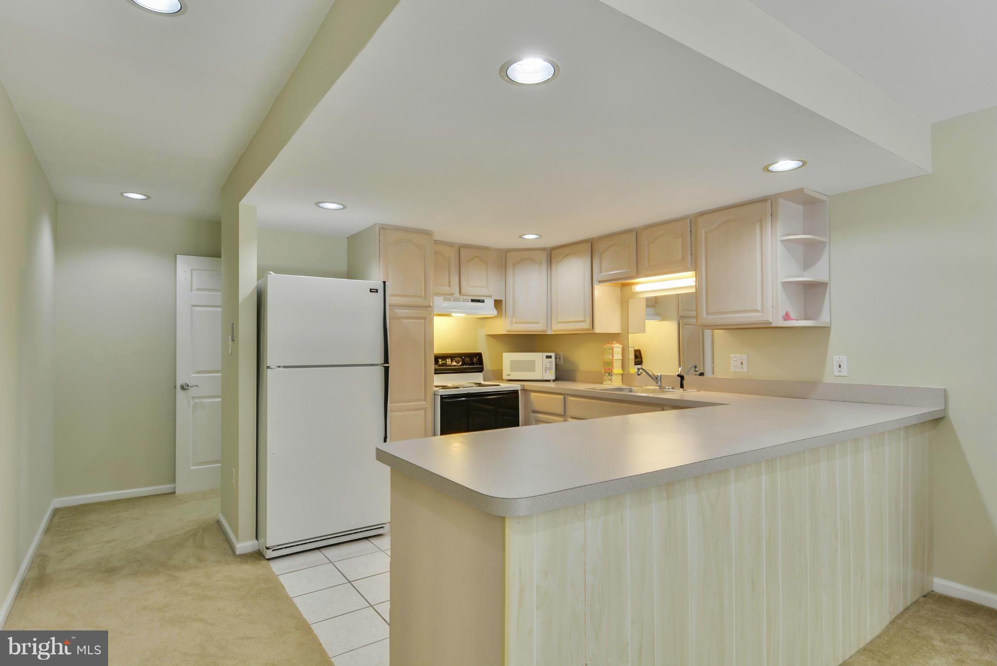 14631 Good Hope Road Silver Spring, MD 20905 - Photo 22 of 28 Basement Au-Pair/In-Law 2nd Kitchen