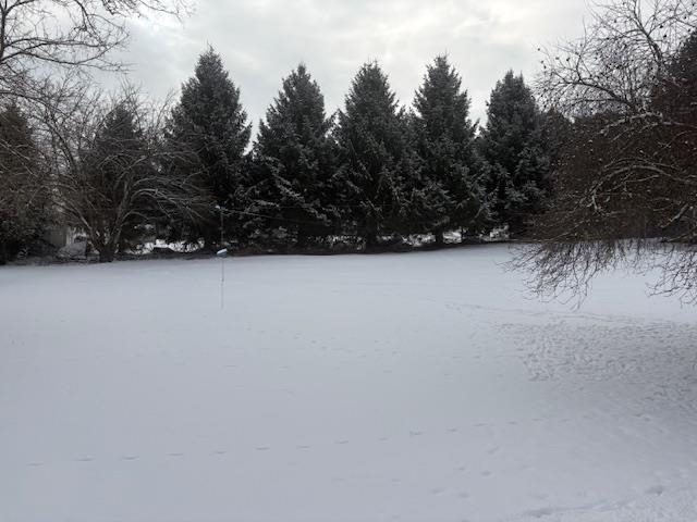 0 Tuttle Meadow Drive Rutland, VT 05701 - Photo 2 of 5