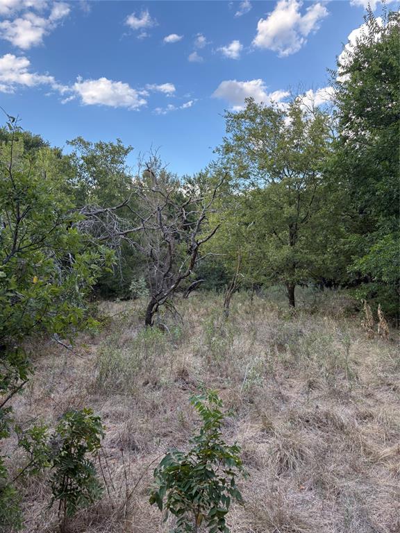 271 Wyatt Road Jacksboro, TX 76458 - Photo 24 of 40 Expansive natural landscape featuring varied mature trees and open grassy areas under a blue sky