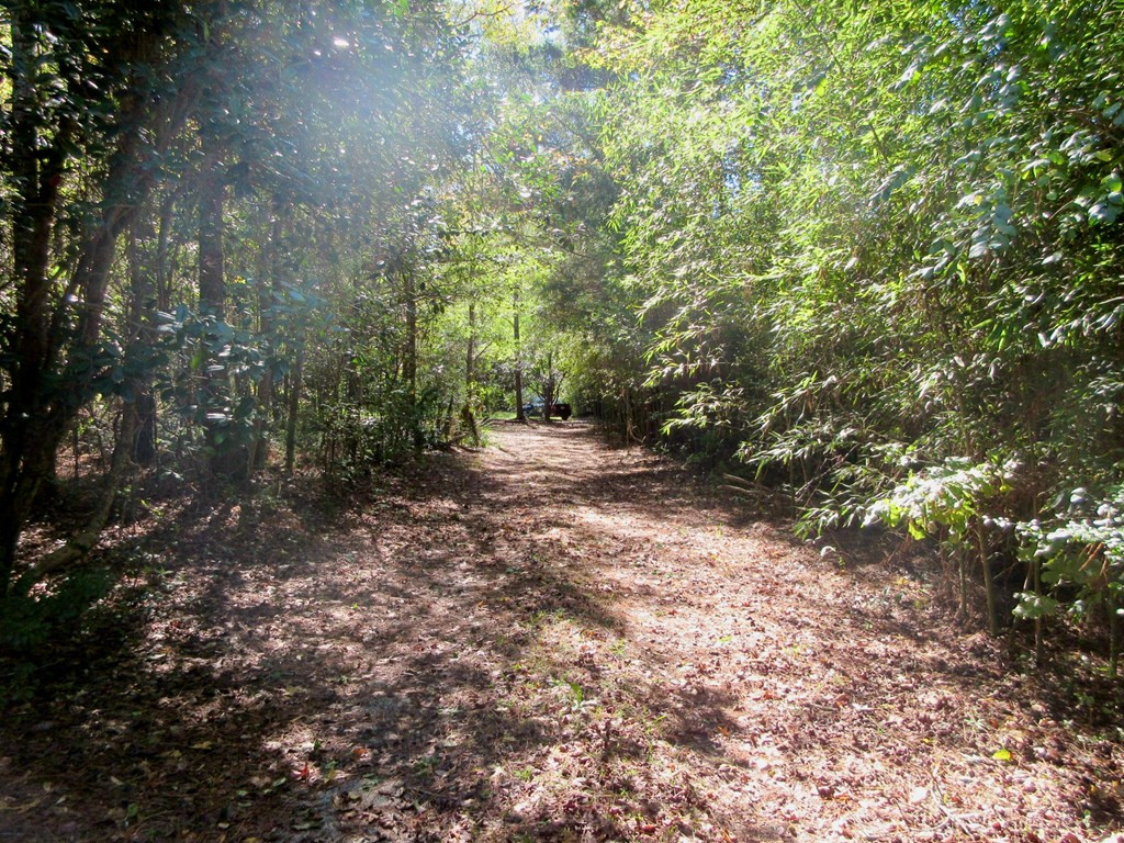 634 Wire Road Thomson, GA 30824 - Photo 27 of 34