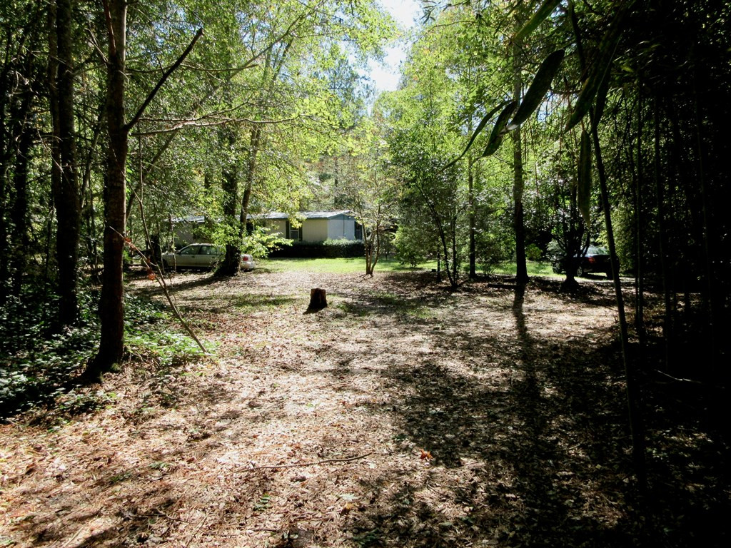 634 Wire Road Thomson, GA 30824 - Photo 34 of 34