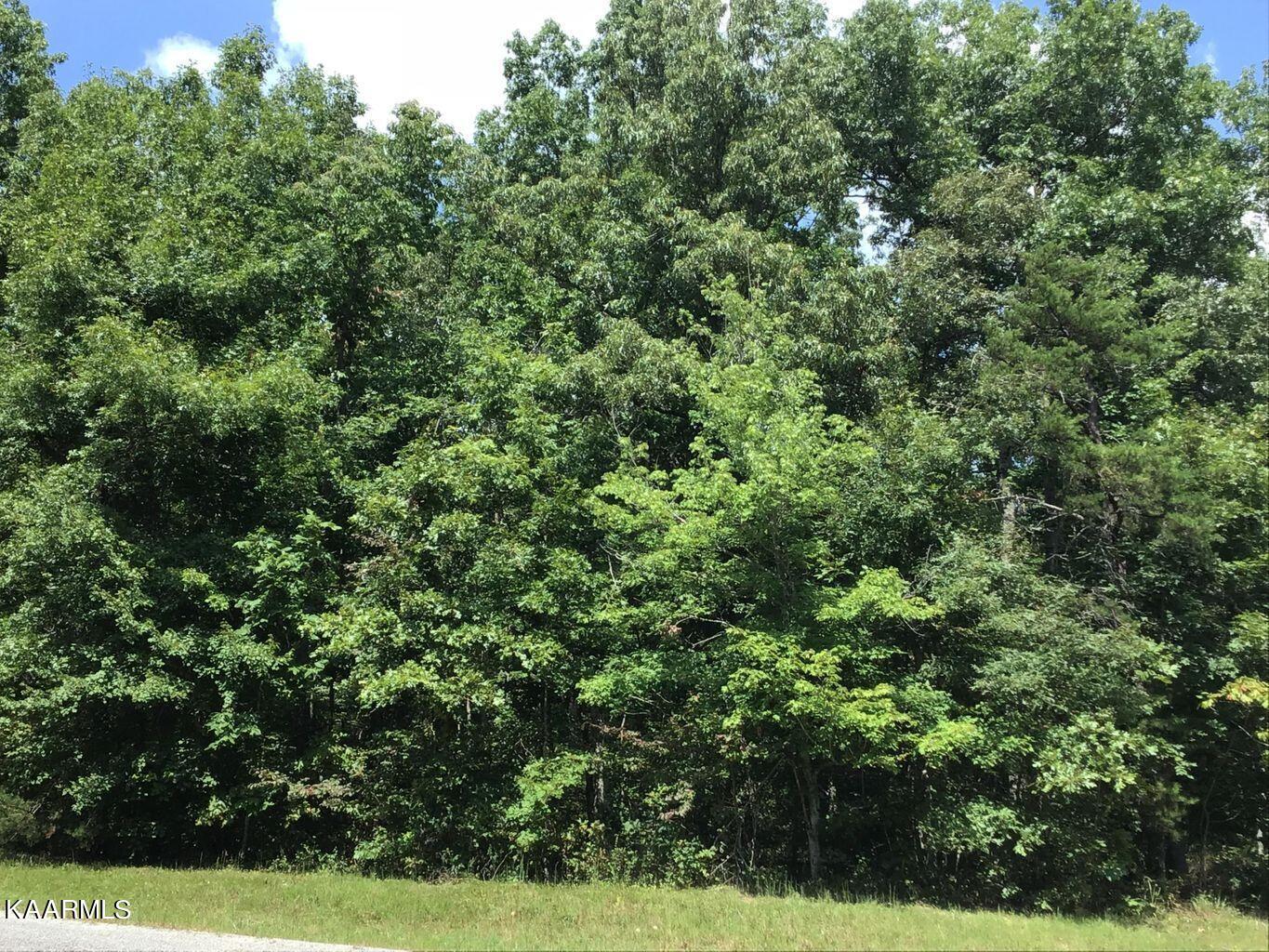 Lot 7 Anne Road Monterey, TN 38574 - Photo 6 of 10 Privacy