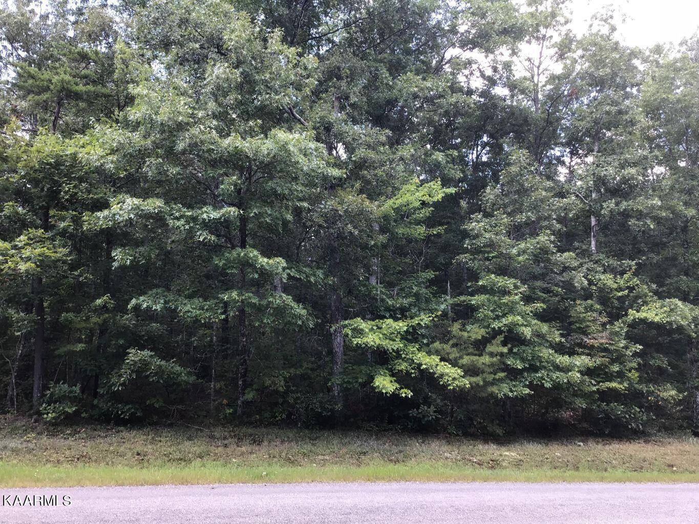 Lot 7 Anne Road Monterey, TN 38574 - Photo 7 of 10 Road Frontage 2