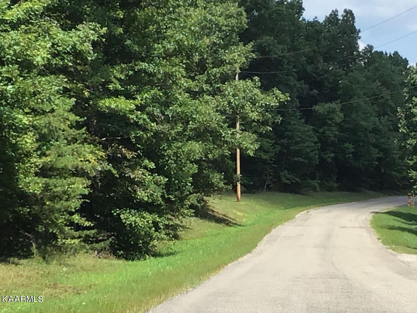 Lot 7 Anne Road Monterey, TN 38574 - Photo 8 of 10 Road Frontage