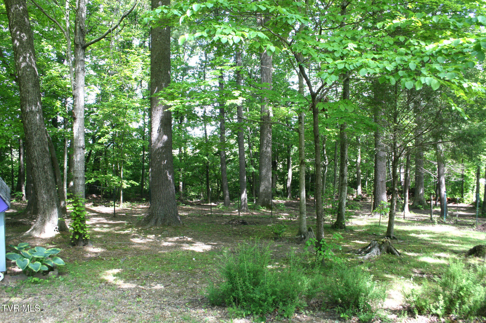 130 Kenneth Foster Road Chuckey, TN 37641 - Photo 42 of 60 IMG_0060