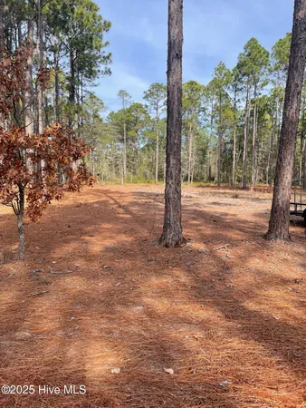 $15,000 | 130 Bay Ridge Road, Harrells, NC 28444