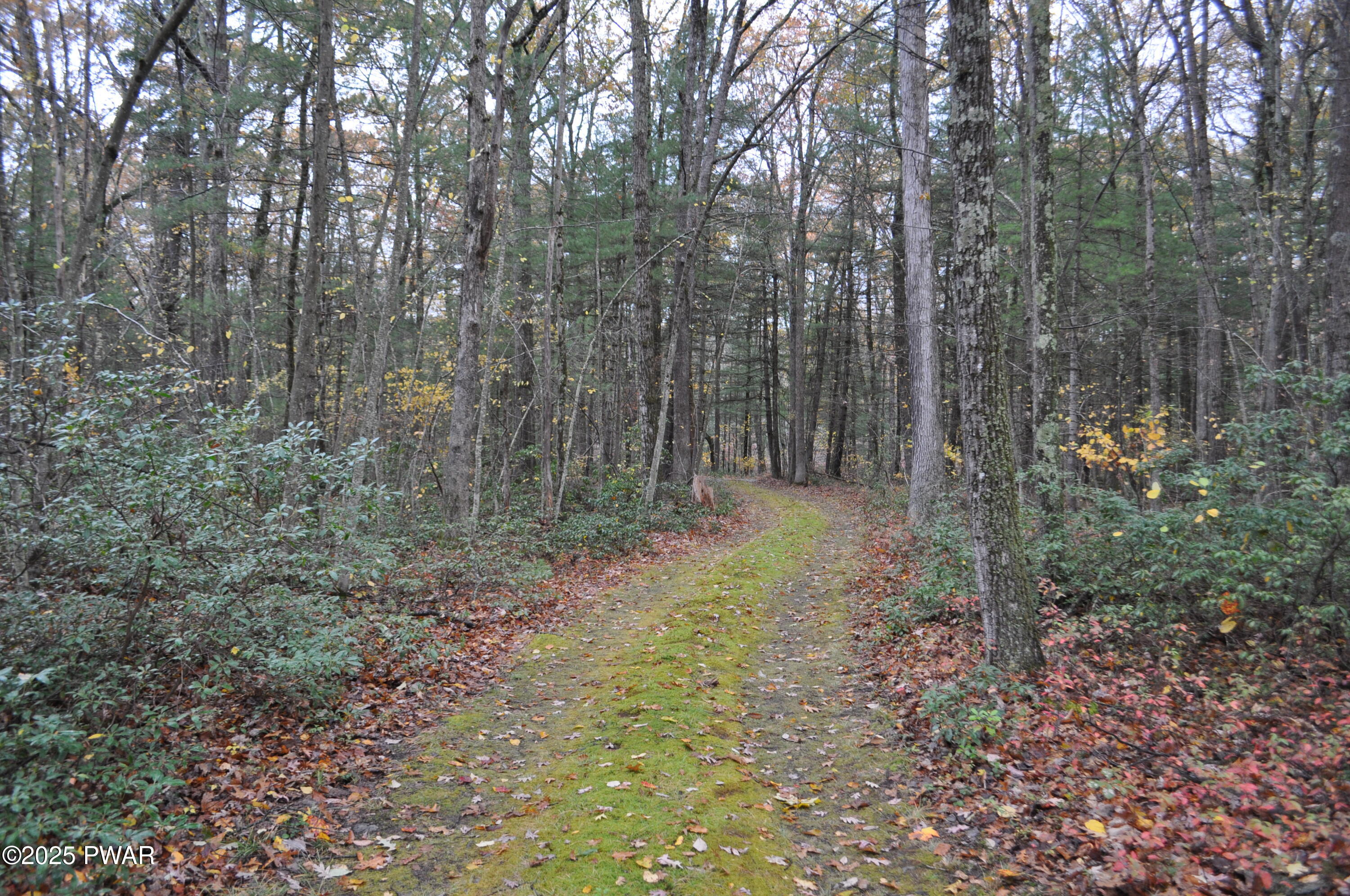 288 White Deer Lake Road Hawley, PA 18428 - Photo 12 of 28