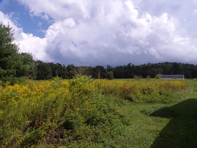 $155,000 | 1838 Highway 133, Shady Valley, TN 37688