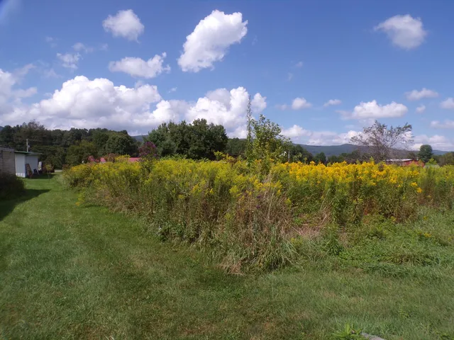 $155,000 | 1838 Highway 133, Shady Valley, TN 37688