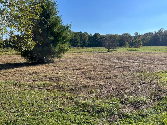 $155,000 | 1838 Highway 133, Shady Valley, TN 37688