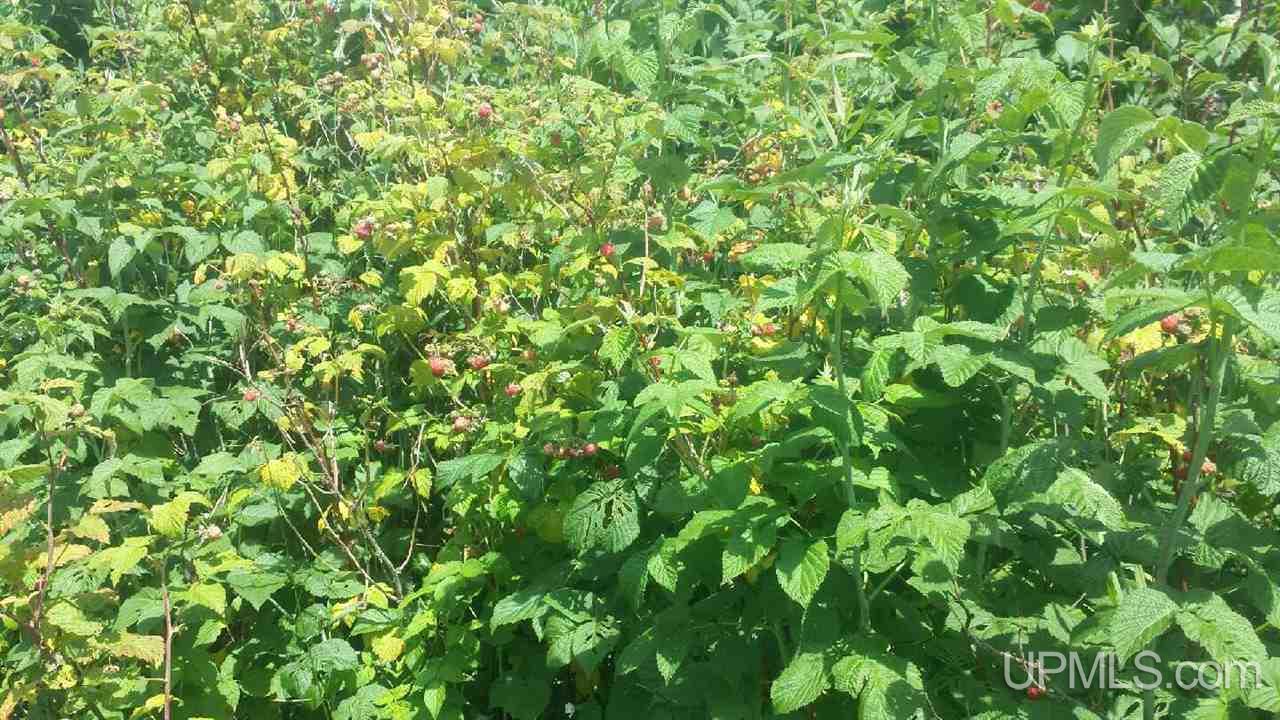 1010 Southeast Co Road Ishpeming, MI 49849 - Photo 7 of 25