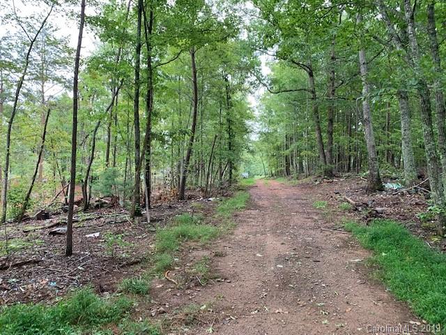 2466 Lake Adger Road Mill Spring, NC 28756 - Photo 11 of 12