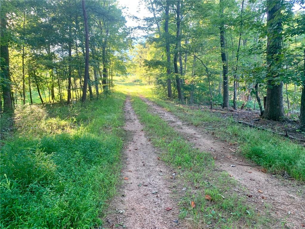 2466 Lake Adger Road Mill Spring, NC 28756 - Photo 12 of 12