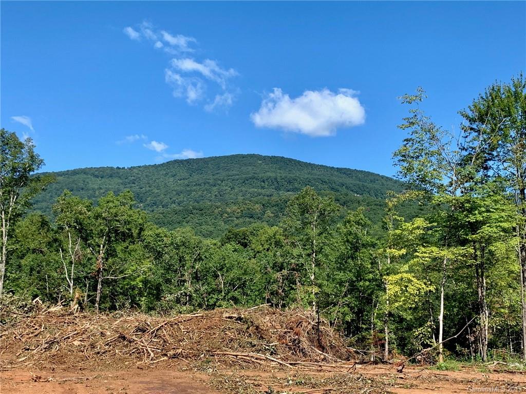 2466 Lake Adger Road Mill Spring, NC 28756 - Photo 3 of 12