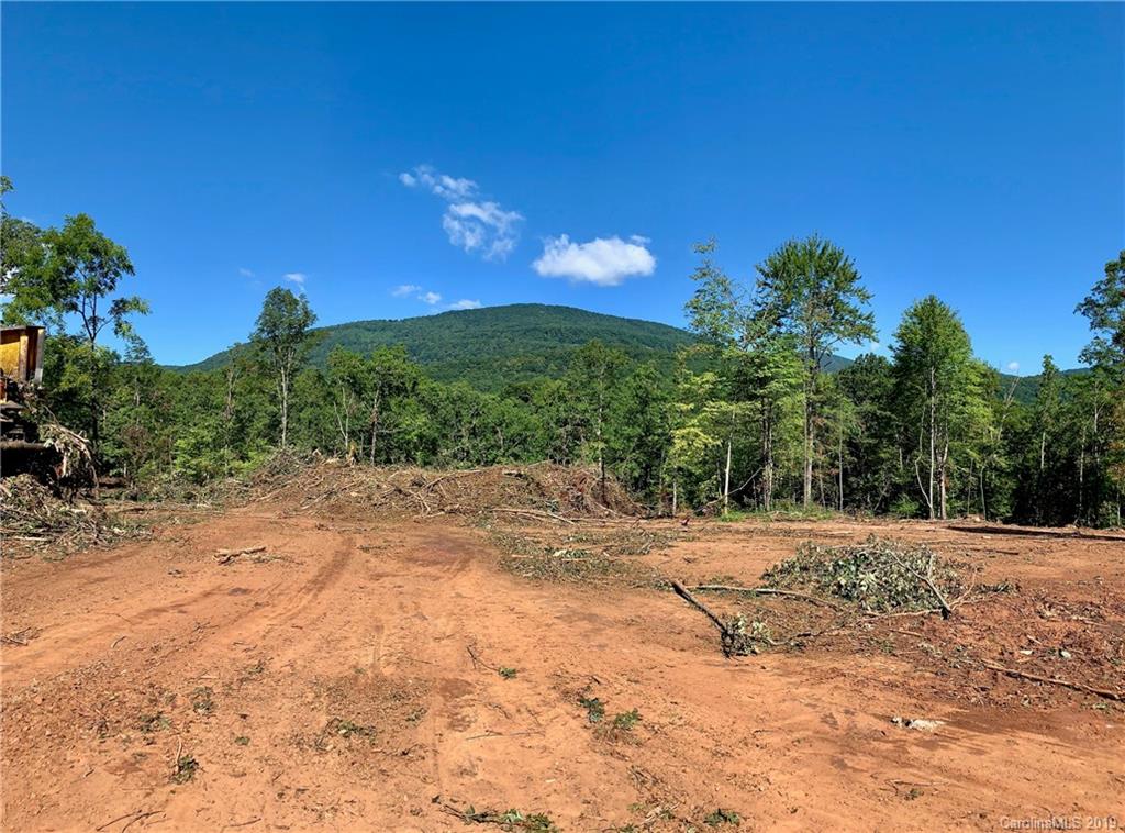 2466 Lake Adger Road Mill Spring, NC 28756 - Photo 4 of 12