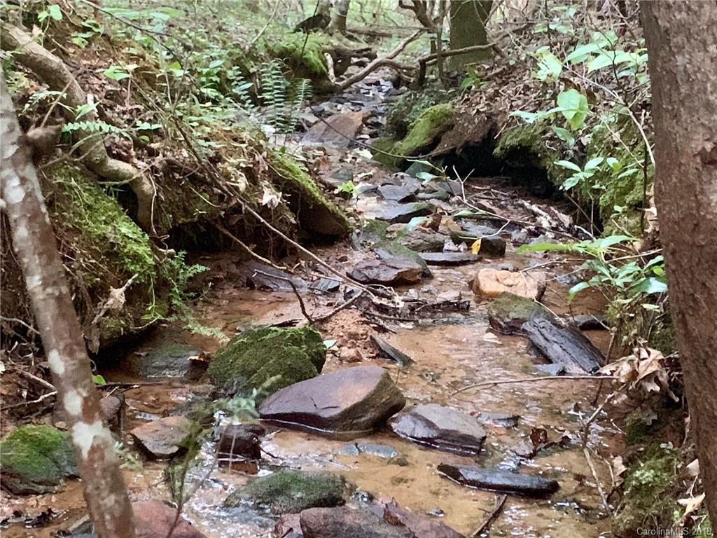 2466 Lake Adger Road Mill Spring, NC 28756 - Photo 8 of 12