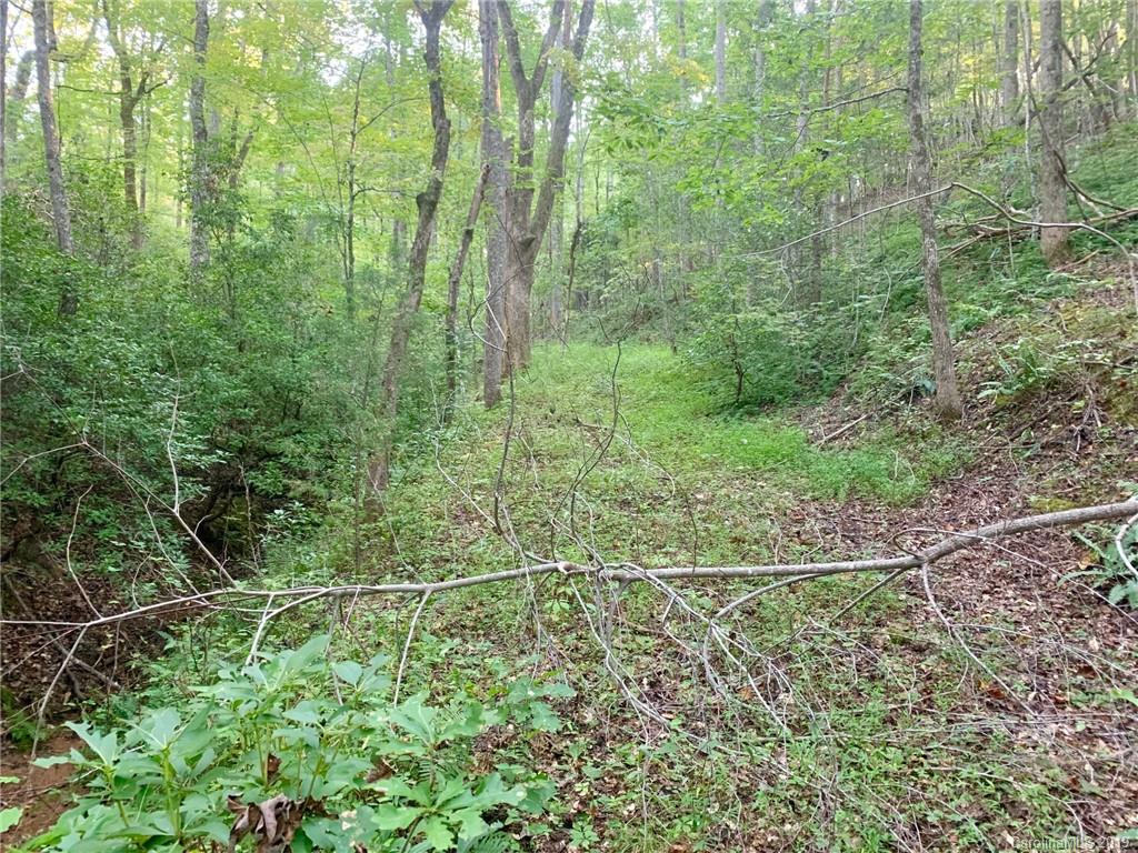 2466 Lake Adger Road Mill Spring, NC 28756 - Photo 9 of 12