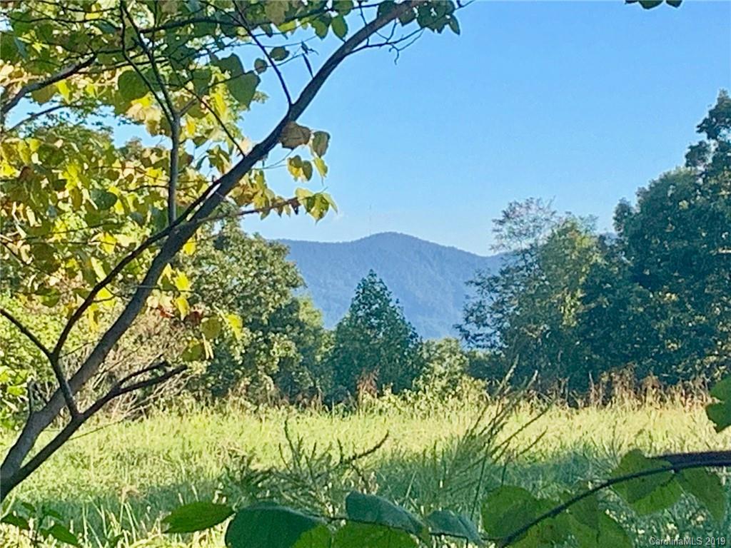 2466 Lake Adger Road Mill Spring, NC 28756 - Photo 10 of 12