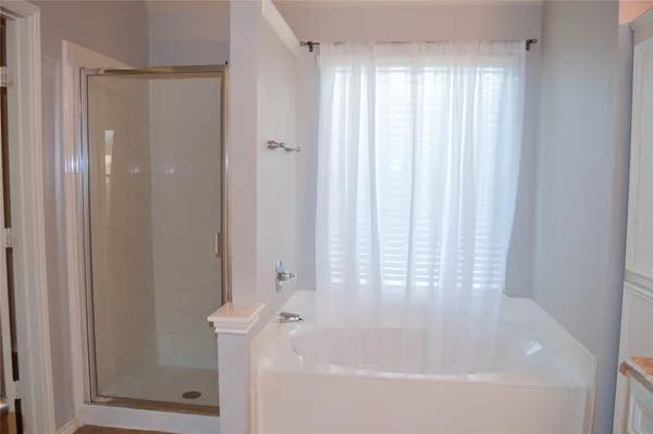 a bathroom with a bathtub and a shower