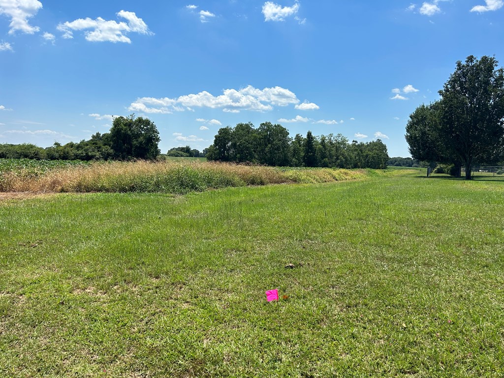 132.3-ac Green Road Dothan, AL 36303 - Photo 53 of 63