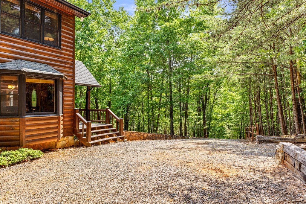220 Blue Ridge Trail Morganton, GA 30560 - Photo 48 of 58