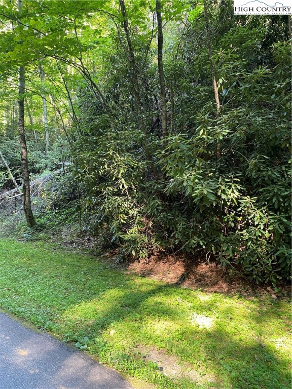 Lot 15 Twin Rivers Drive Boone, NC 28607 - Photo 11 of 28 Gallery Image 11