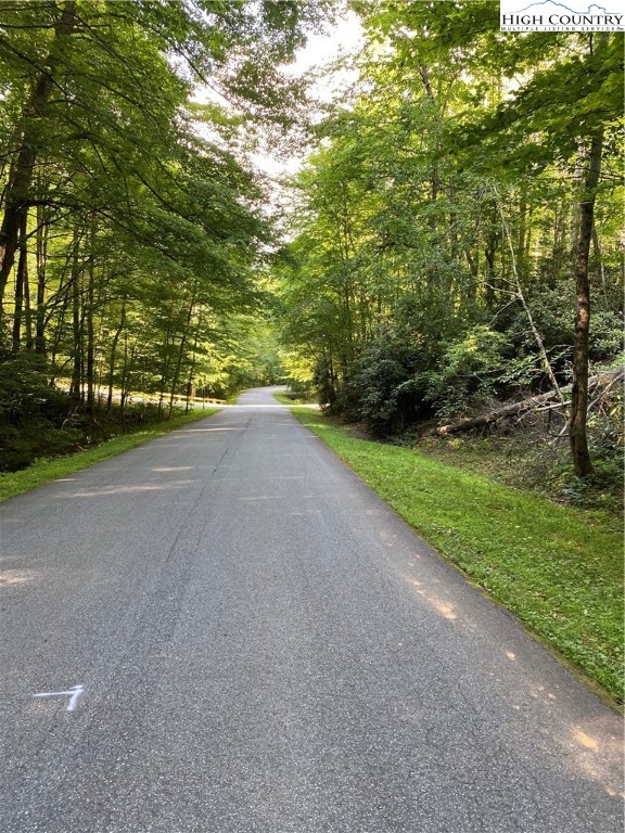Lot 15 Twin Rivers Drive Boone, NC 28607 - Photo 12 of 28 Gallery Image 12