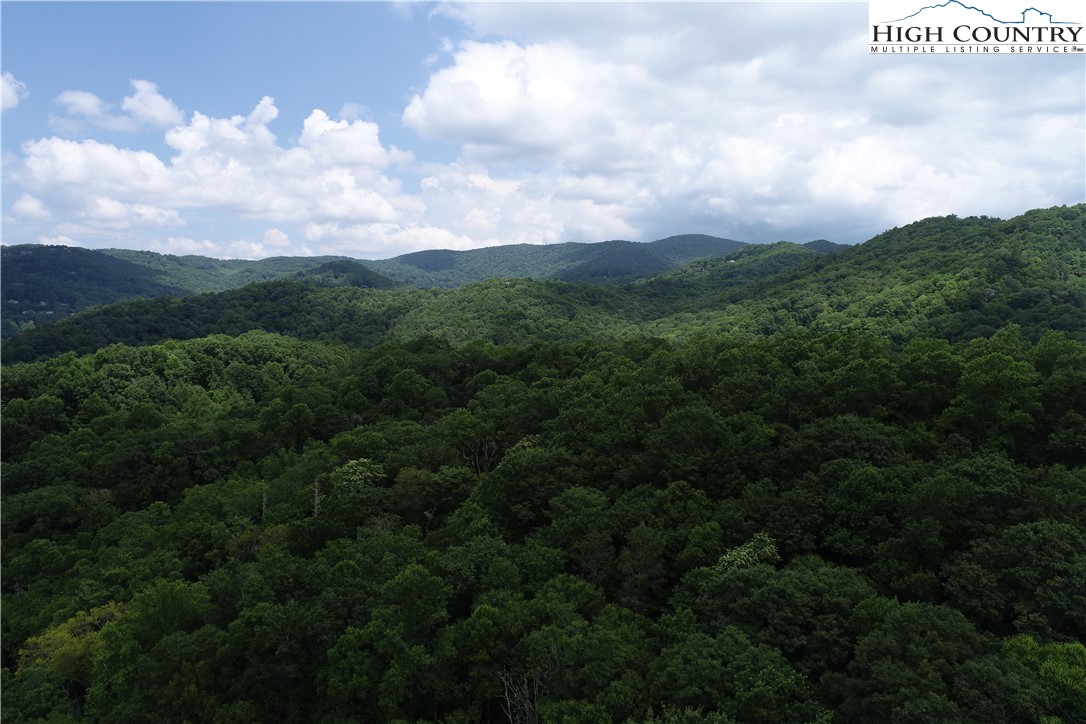Lot 15 Twin Rivers Drive Boone, NC 28607 - Photo 20 of 28 Gallery Image 20