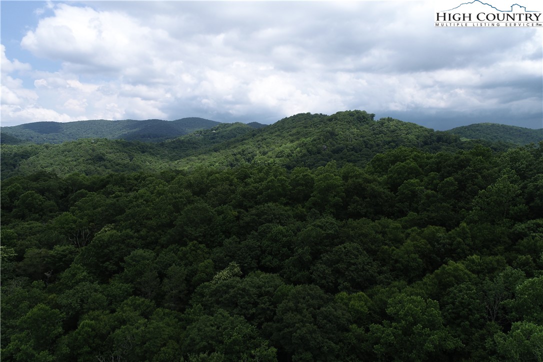 Lot 15 Twin Rivers Drive Boone, NC 28607 - Photo 21 of 28 Gallery Image 21