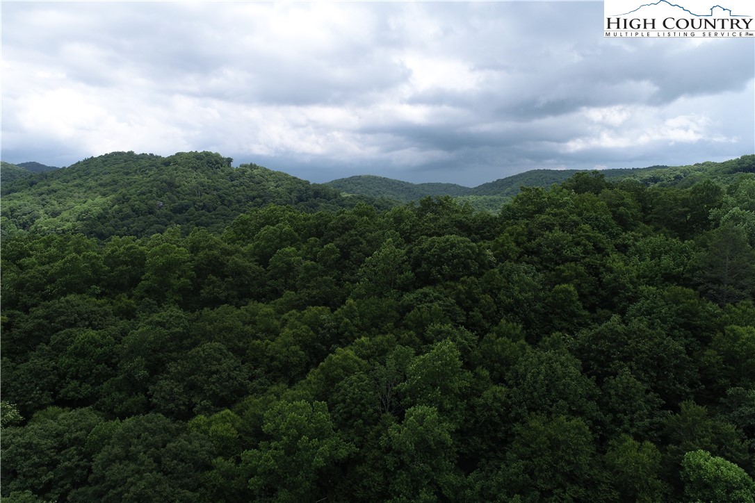Lot 15 Twin Rivers Drive Boone, NC 28607 - Photo 22 of 28 Gallery Image 22
