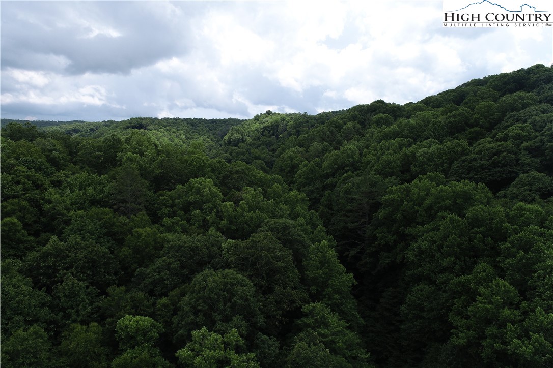 Lot 15 Twin Rivers Drive Boone, NC 28607 - Photo 23 of 28 Gallery Image 23
