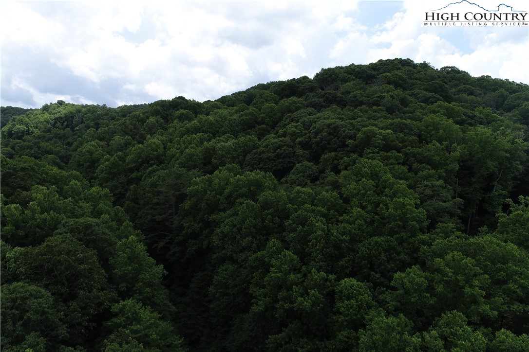 Lot 15 Twin Rivers Drive Boone, NC 28607 - Photo 24 of 28 Gallery Image 24