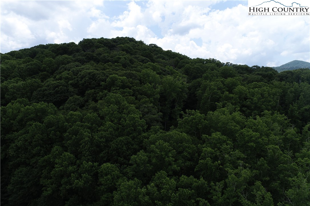 Lot 15 Twin Rivers Drive Boone, NC 28607 - Photo 25 of 28 Gallery Image 25