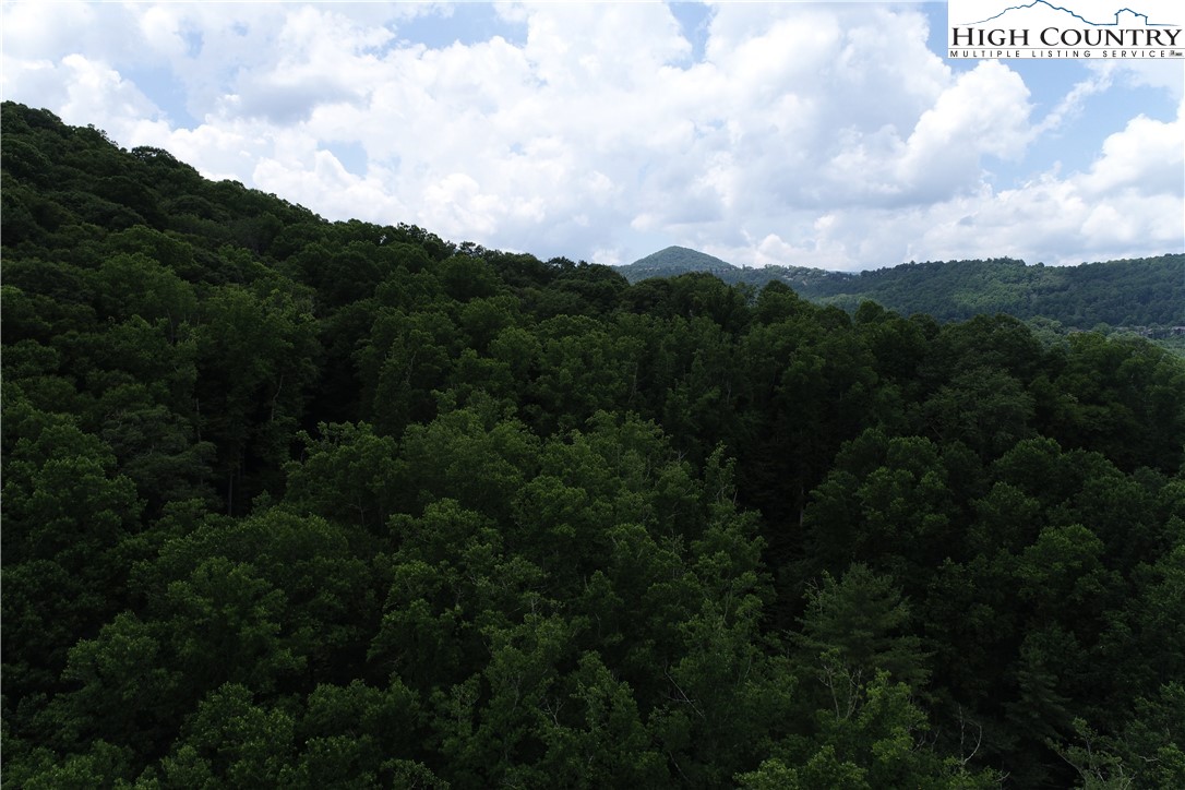 Lot 15 Twin Rivers Drive Boone, NC 28607 - Photo 26 of 28 Gallery Image 26