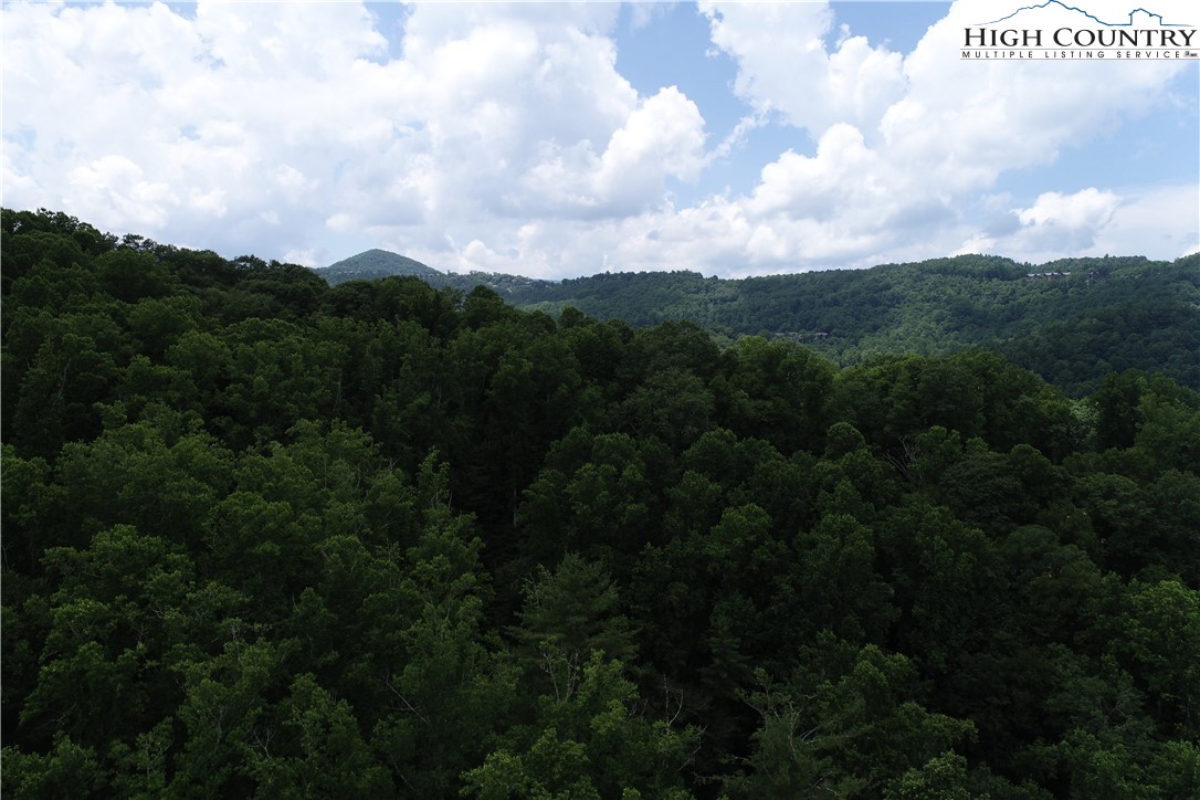 Lot 15 Twin Rivers Drive Boone, NC 28607 - Photo 27 of 28 Gallery Image 27