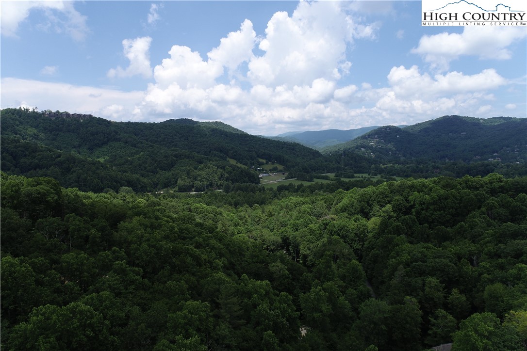 Lot 15 Twin Rivers Drive Boone, NC 28607 - Photo 7 of 28 Gallery Image 7