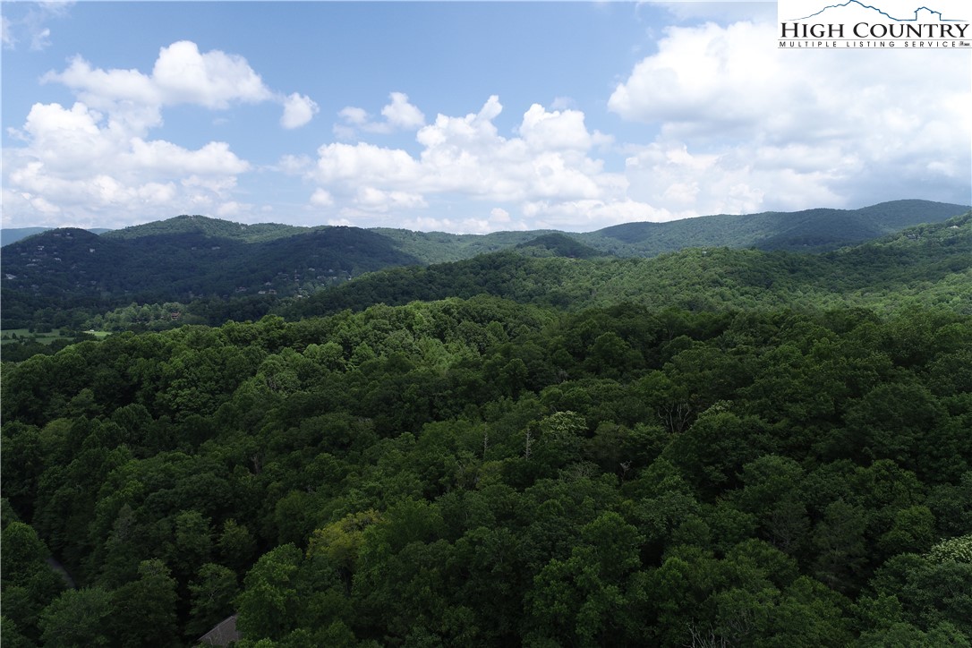 Lot 15 Twin Rivers Drive Boone, NC 28607 - Photo 8 of 28 Gallery Image 8