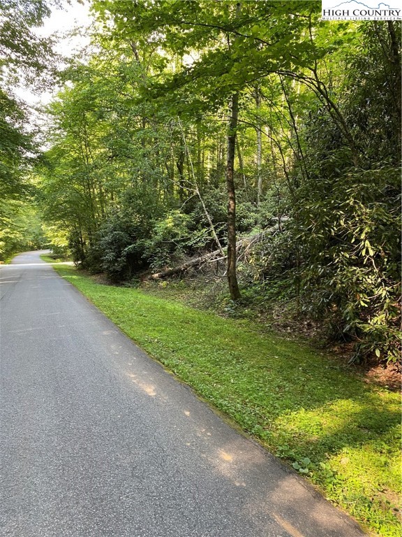 Lot 15 Twin Rivers Drive Boone, NC 28607 - Photo 9 of 28 Gallery Image 9