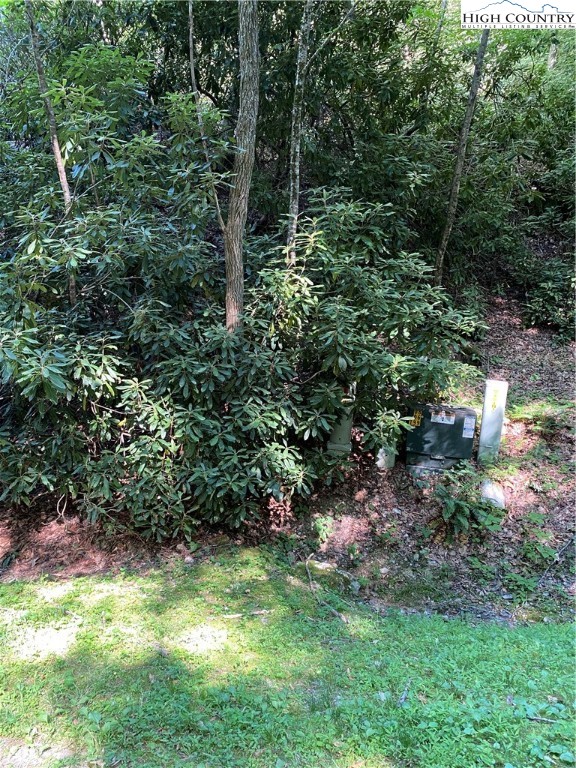 Lot 15 Twin Rivers Drive Boone, NC 28607 - Photo 10 of 28 Gallery Image 10